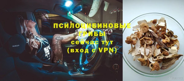 ГАЛЛЮЦИНОГЕННЫЕ ГРИБЫ Армянск